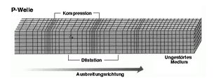 Ausbreitungsverhalten P-Welle